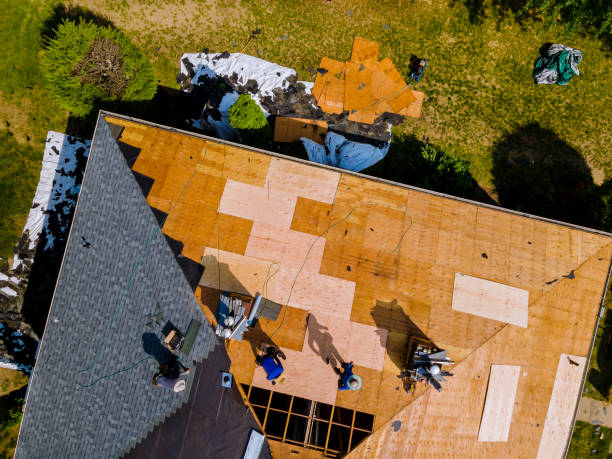 Best Residential Roofing Contractor  in Petaluma, CA