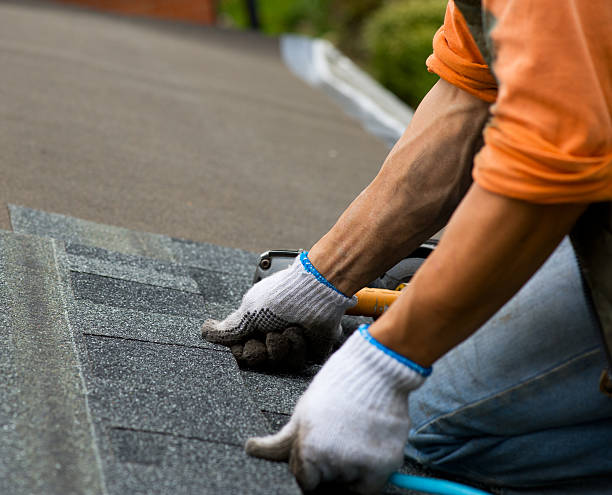 Best Commercial Roofing Services  in Petaluma, CA